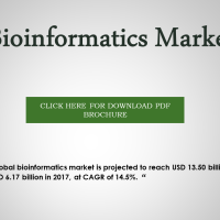 What are the major applications of Bioinformatics market ?
