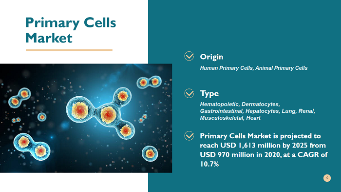 Primary Cells Market Worth USD 1,613 Million – Current Status, Statistics, Growth Dynamics And Future Trends